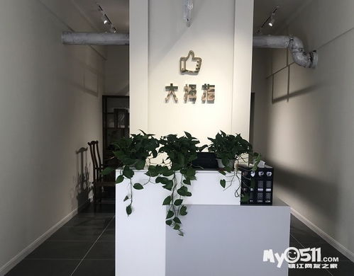 大拇指家政五店共惠 家政協(xié)會單位 吊燈家電清洗 各類保潔 客服微信17887276766